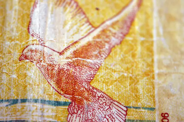 1 SDG 'nin ters tarafından uçan bir güvercin Sudan nakit para banknotu, Sudan merkez bankası tarafından, Sudan para ve ekonomi konsepti