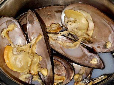 Midye, bivalf yumuşakçaları, tuzlu su ve tatlı su habitatlarından farklı mutfaklarda pişirilen ve deniz ürünleri çorbası, pişirilen deniz midyeleri ve Mytilidae ailesinin bivalfleri.