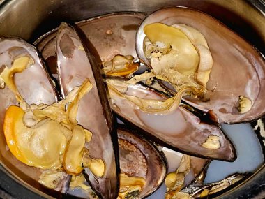 Midye, bivalf yumuşakçaları, tuzlu su ve tatlı su habitatlarından farklı mutfaklarda pişirilen ve deniz ürünleri çorbası, pişirilen deniz midyeleri ve Mytilidae ailesinin bivalfleri.