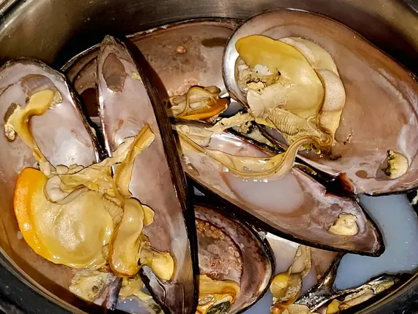 Midye, bivalf yumuşakçaları, tuzlu su ve tatlı su habitatlarından farklı mutfaklarda pişirilen ve deniz ürünleri çorbası, pişirilen deniz midyeleri ve Mytilidae ailesinin bivalfleri.