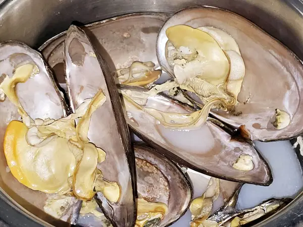 Midye, bivalf yumuşakçaları, tuzlu su ve tatlı su habitatlarından farklı mutfaklarda pişirilen ve deniz ürünleri çorbası, pişirilen deniz midyeleri ve Mytilidae ailesinin bivalfleri.