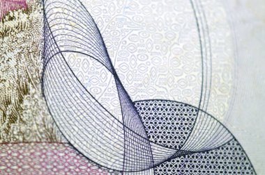 Etiyopya Ulusal Bankası tarafından yayınlanan 200 ETB 'nin ters tarafındaki detaylarda, dağlık arazide Nubian dağ keçisi (Capra Nubiana) yer almaktadır.