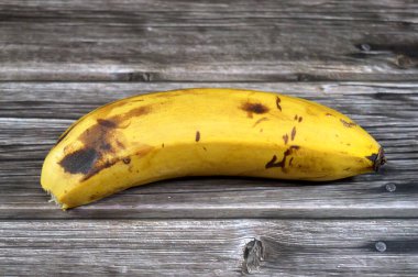 Muz meyvesi, uzun, yenilebilir, botanik bir meyve, vitamin dolu en büyük otçul bitki olan Musa cinsindeki çeşitli büyük otçul bitkiler tarafından üretilen bir meyve.