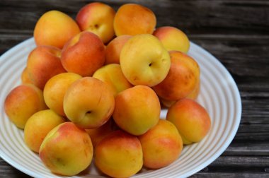 Kayısı meyvesi, P. armeniaca türünden, kayısı, provitamin A-karoten ve polifenol gibi çeşitli filokimyasallar içerir, katekinler ve klorojenik asit, sağlıklı besin konsepti gibi.