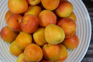 Kayısı meyvesi, P. armeniaca türünden, kayısı, provitamin A-karoten ve polifenol gibi çeşitli filokimyasallar içerir, katekinler ve klorojenik asit, sağlıklı besin konsepti gibi.