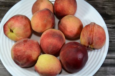 şeftali meyvesi (Prunus persica), ilk olarak Çin 'de evcilleştirilmiş ve ekilmiş, çoğu şeftali olarak adlandırılan yenilebilir sulu meyveler ve parlak ciltli, tüysüz türlere nektarin adı verilir.