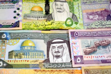 Suudi Arabistan riyalistleri, eski çağlardan, eski kral Fahd zamanlarından kral Salman zamanına kadar, Suudi Arabistan riyalleri para ve ekonomi kavramına kadar nakit para destekler.