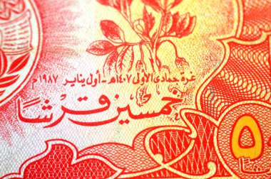 50 PT 50 Sudan kuruşu nakit para banknotunun ters yüzü, geleneksel Sudan müzik enstrümanları lir ve bateri ortada bir harita, sağda Peanut fabrikası yer alıyor.