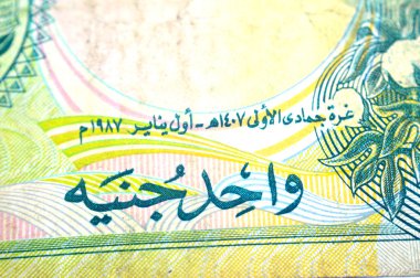 1 SDG bir Sudan pound nakit para banknotu ters yüzü, pamuk boll bitkiler ve Sudan eski eski antika para, seçici odaklı Sudan haritası