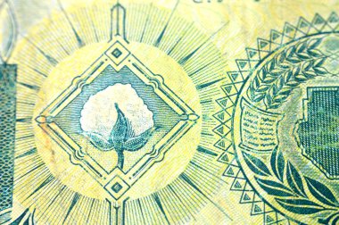 1 SDG 'nin ters tarafında bulunan pamuk boll bitkileri bir Sudan pound nakit para banknotu, ayrıca Sudan' ın eski antika para haritası, seçici odak noktası Sudan 'ın