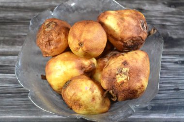 Küf ve bakterili Guava meyvesi, bazı mantarların oluşturabileceği yapılardan biridir, mantar ikincil metabolitleri içeren sporların oluşumu, çürüyen çürümüş Guava ve solmuş