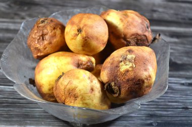 Küf ve bakterili Guava meyvesi, bazı mantarların oluşturabileceği yapılardan biridir, mantar ikincil metabolitleri içeren sporların oluşumu, çürüyen çürümüş Guava ve solmuş