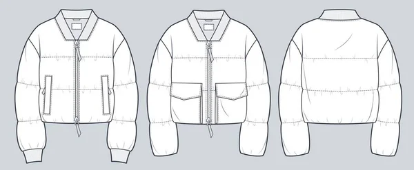 Set Padded Crop Jacket Technical Fashion Illustration Bomber Jacket Fashion — Stock Vector