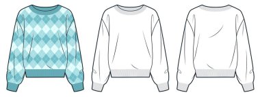 Argyle Süveter Düz Çizim. Çekiş moda düz çizim şablonu, rahat formda, ön ve arka görüş, beyaz, yeşil, personel boynu, kadınlar, erkekler, unisex CAD modeli.