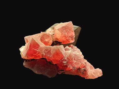 Canlı kırmızı florit kristal kümesi dumanlı kuvars, çarpıcı bir etki için siyah yansıtıcı yüzeyde fotoğraflandı.