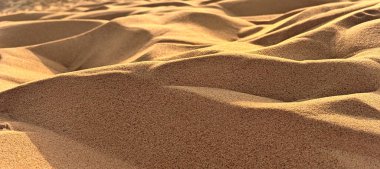 Close-up view of fine-grained sand dunes with gentle undulations and ridges formed by the wind. The lighting suggests it is early morning or late afternoon, casting soft shadows that highlight the texture and contours of the dunes clipart