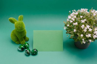 Mockup Paskalya yeşili tavşan, mavi renkli tavuk bıldırcın yumurtalı tavşan, mavi arka planda mesaj için boş kart. Beyaz bahar çiçekleri. Pascha, Hıristiyan festivali, tek renkli tatil konsepti. Yatay