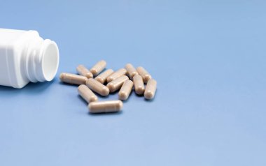 Dağınık haplar, kaygan karaağaç kapsülleri, beyaz şişe, mavi arka plandaki konteynır. Beslenme desteği, ilave, ilaç. Ulmus Fulva, Bitkisel Çözüm Konsepti. Yatay, Metin için uzayı kopyala.