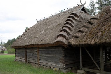 Samanlı eski ahşap ev, Meadow 'da çatılı çatı, açık hava. Kırsal Doğu Avrupa Bölgesi 'ndeki Bungalow Binası, Kırsal Bölge. Yatay Düzlemsel Görüntü Yüksek Kaliteli Fotoğraf.