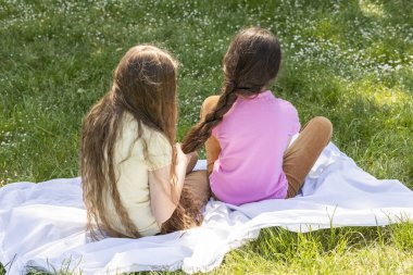 Güneşli bir günde Meadow 'da çayırda oturan uzun saçlı, uzun saçlı kız kardeşin saçı. Kardeşler sevgi ve ilgi, gerçek dostluk. Yatay düzlem. Yüksek kalite fotoğraf