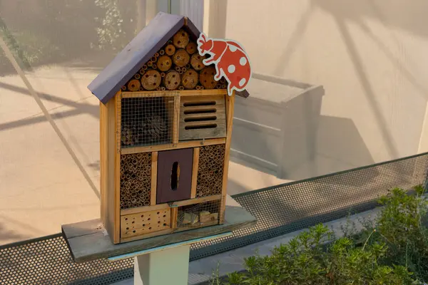 Bug Hotel, Wooden Insect House, Ladybird And Bee, Fly. Compartments And Natural Components. Outdoor Eco Home For Butterfly Hibernation And Ecological Gardening. Horizontal Plane.