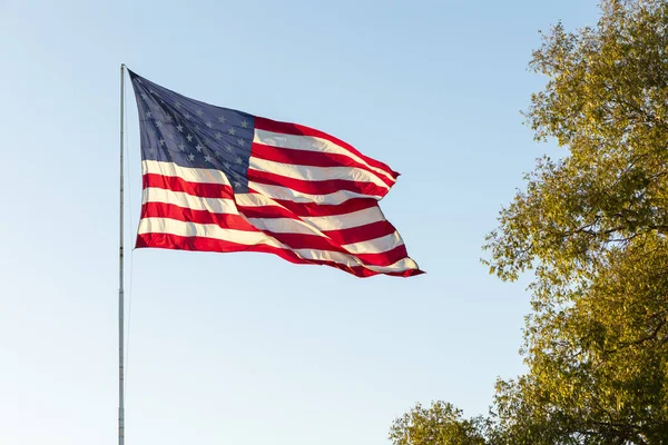 Mavi Gök 'ün Arkasında Bayrak Direğinde Amerikan Bayrakları Dalgalanıyor, Yeşil Ağaç, Şablon Yatay Düzlem. Yüksek kalite fotoğraf