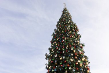 Açık havada süslenmiş büyük kırmızı balo oyuncakları ve yıldızlı mavi gökyüzü arka planda. Metin için Boşluğu Kopyala. Yatay düzlem. Yeni yıl Çam Ağacı. Seyahat ve Tatil.