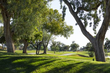 Güzel bir golf sahası manzarası, taze kesilmiş çimenler, yeşil uzun ağaçlar, gölgeler ve mavi gökyüzü. Hiç kimse. Güzel Manzara Parkı. Birleşik Devletler. Manzara. Yatay Düzlem Yüksek Kaliteli Fotoğraf