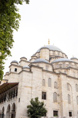 Süleyman Camii Camii, Osmanlı İmparatorluk Camii tarihi İstanbul 'un Fatih ilçesindeki Cami. Tarihi İstanbul, UNESCO Dünya Mirası. Dikey düzlem. Yeşil Ağaç, Gökyüzü.