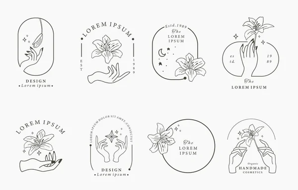 stock vector Beauty boho icon collection with hand, lily.Vector illustration for icon,sticker,printable and tattoo