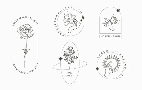 Συλλογή Αντικειμένων Χέρι Μανόλια Τριαντάφυλλο Λεβάντα — Διανυσματικό Αρχείο