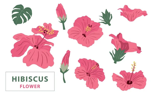 Flower Collection Pink Hibiscus Element Vector Illustration Icon Sticker Printable — Stock Vector