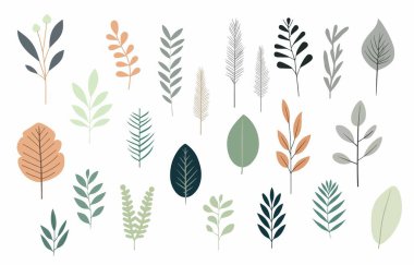 Yeşil yaprak nesnesi ayarlandı. Kartpostal, etiket için vektör çizimi