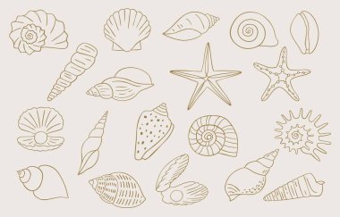 deniz kabuğu taslak simgesi Boho tarzı