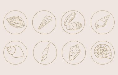 Çocuk tasarımı için kabuk halkalı yaz altın ikonu