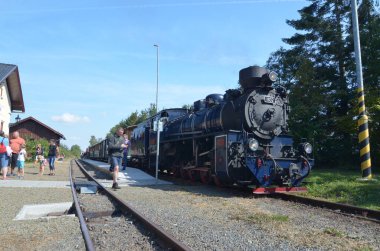 Ormandaki tren istasyonu.