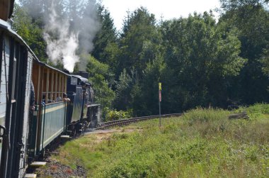 Tremesna, czech, Silezya, 17 Eylül 2023: İnsanlar trene biniyor, pencereden dışarı bakıyor, buharlı lokomotif gezintisi, kuzey Moravya 'daki tarihi eğlence, güzel Çek manzarası