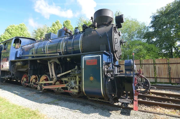 Alte Dampflokomotive Wald — Stockfoto