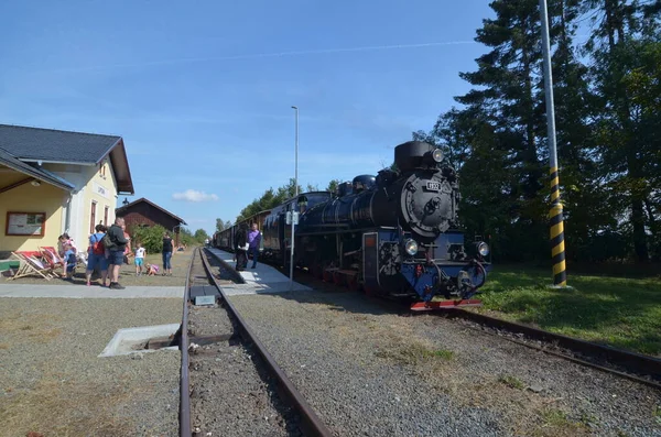 Ormandaki Tarihi Tren Istasyonu — Stok fotoğraf