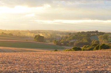 Yaz kırsalında altın gün batımı, kırsal alan.