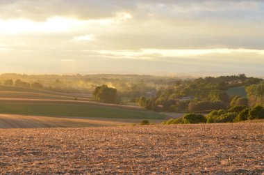 Yaz kırsalında altın gün batımı, kırsal alan.