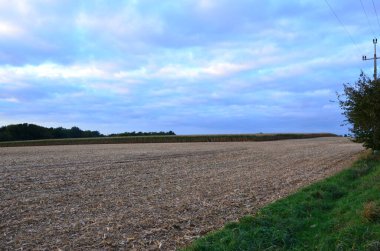 Bulutlu gökyüzünün altındaki buğday tarlasının güzel bir görüntüsü.