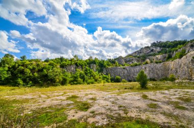Yeşil çimenli ve mavi gökyüzüyle manzara