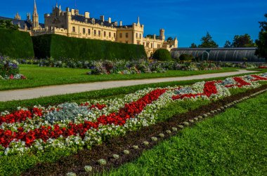 Parktaki güzel çiçekler.