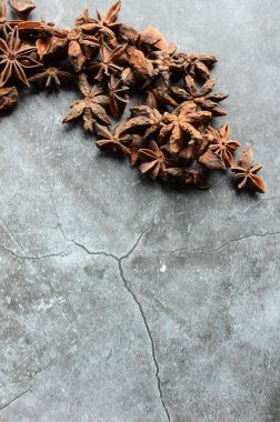 Gri kayalıklarda anason.