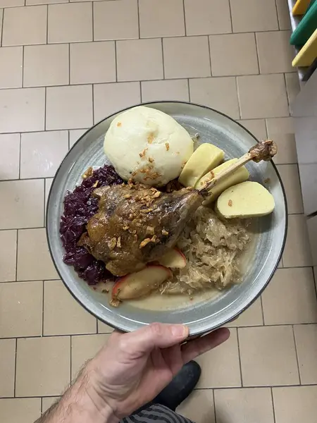 delicious and healthy food. close up, czech food, goose, duck leg with cabage and dumplings