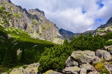 Polonya 'nın en güzel manzarası
