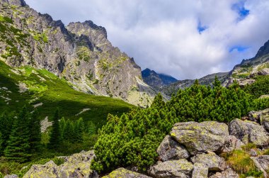 Slovakya 'da yüksek dövmeli güzel bir dağ manzarası