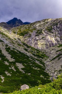 Yeşil bir orman ve güzel bir gökyüzü olan dağ manzarası.