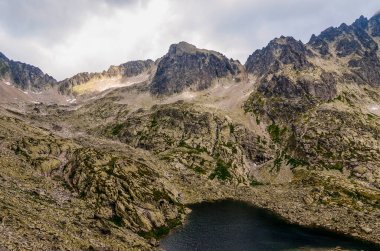 Yazın Karpat Dağları 'nda, önünde nehir ve göl olan güzel bir dağ manzarası. Doğanın güzelliği